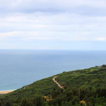 Charming House In With Fireplace *