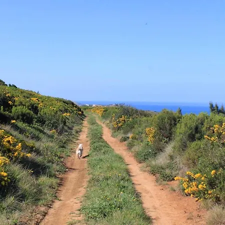 Holiday home Charming House In With Fireplace Nazare