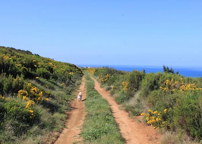 펜션 Charming House In With Fireplace 나자레